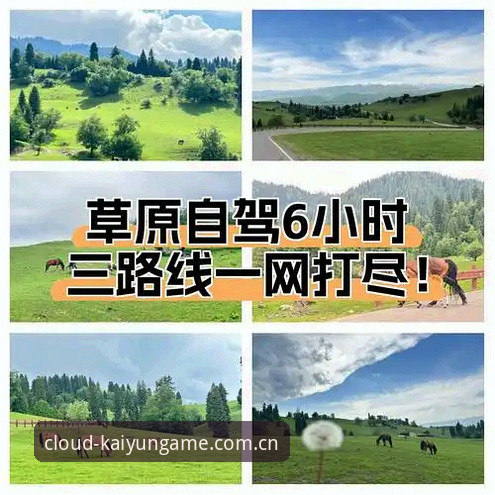 老用户亲测：云开全站安装使用心得，多元娱乐一网打尽